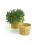 woodchip round bowl honey color small