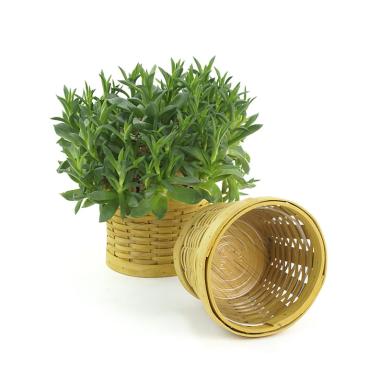 woodchip round bowl honey color small