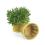 woodchip round bowl honey color small