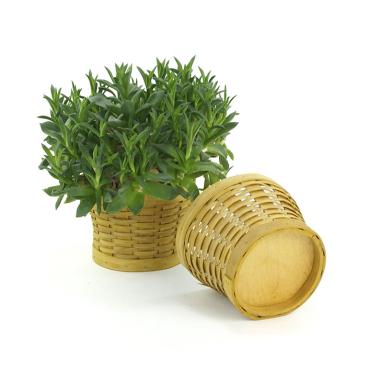 woodchip round bowl honey color small